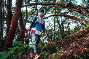 BIB: 
                            <button type="button" onclick="openModal(26345546)" class="btn btn-primary btn-sm float-right btn-popup" data-toggle="modal" data-target=".modal-high-quality">
                        <i class="fas fa-shopping-cart"></i> Add to Cart
                    </button>
                                            <button type="button" onclick="isThisMe(26345546, true)" class="btn btn-success btn-sm float-right btn-popup btn-isme hidden" data-toggle="tooltip" data-placement="bottom" title="นี่คือรูปของคุณใช่ไหม คลิกที่นี่เพื่อเอาเข้าอัลบั้ม">
                        <i class="fas fa-plus"></i> Add to album
                    </button>
                    <button type="button" onclick="isThisMe(26345546, false)" class="btn btn-warning btn-sm float-right btn-popup btn-isnotme hidden">
                        <i class="fas fa-ban"></i> Remove from album
                    </button>